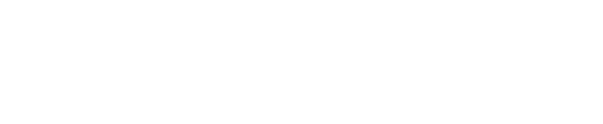 ByteDC reverse logo, white
